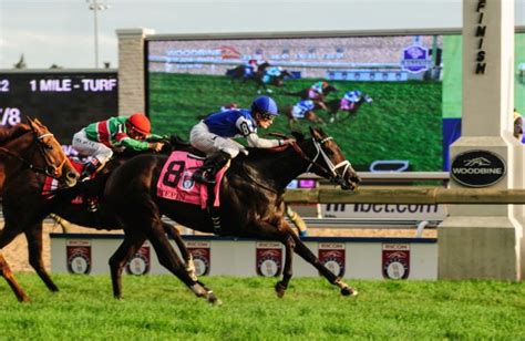 Woodbine (H) Race Results .